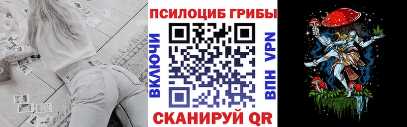 Галлюциногенные грибы Psilocybe Чапаевск