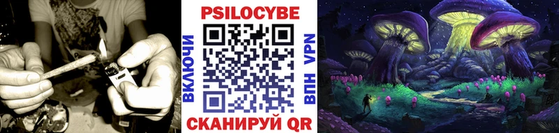 Галлюциногенные грибы мицелий  Чапаевск 